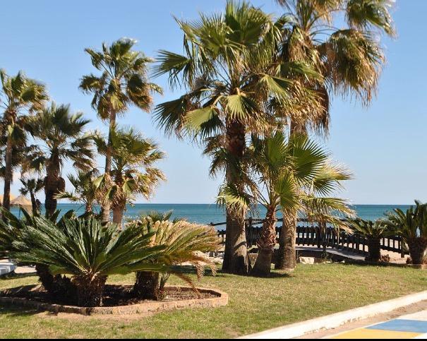 Perla Del Sol 1 L Leilighet Torremolinos Eksteriør bilde